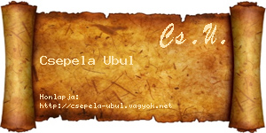Csepela Ubul névjegykártya